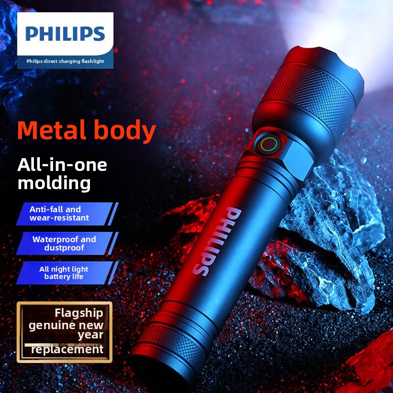2025 신형 필립스 SFL2188 LED 알루미늄 합 - Outdoor Lighting Philips 리뷰 및 가격