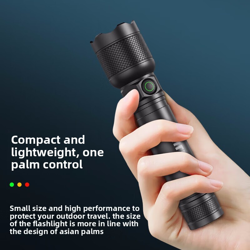 2025 신형 필립스 SFL2188 LED 알루미늄 합 - Outdoor Lighting Philips 리뷰 및 가격